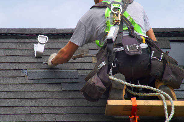 Best Metal Roofing Contractor  in Shadeland, IN