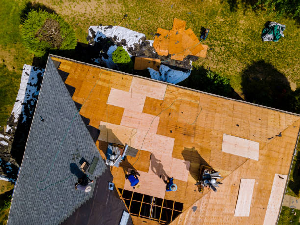 Best Commercial Roofing Services  in Shadeland, IN